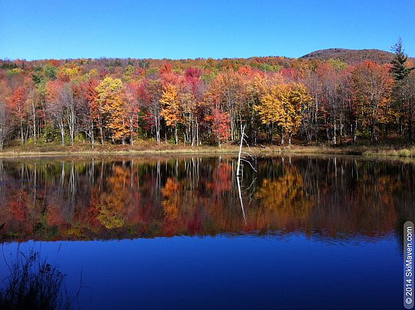 Vermont land trusts and land conservation