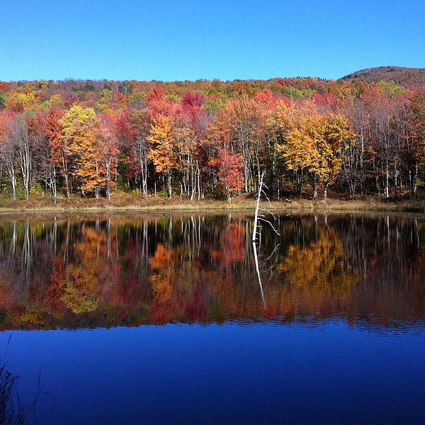 Vermont land trusts and land conservation
