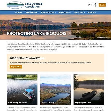 Screenshot of new LIA website