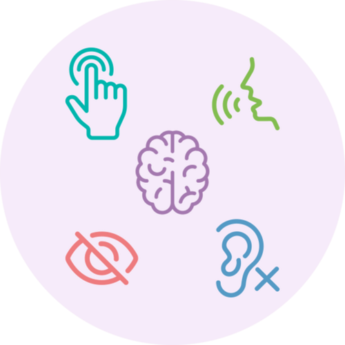 Types of disabilities include those that are auditory, cognitive, physical, speech, and visual in nature.